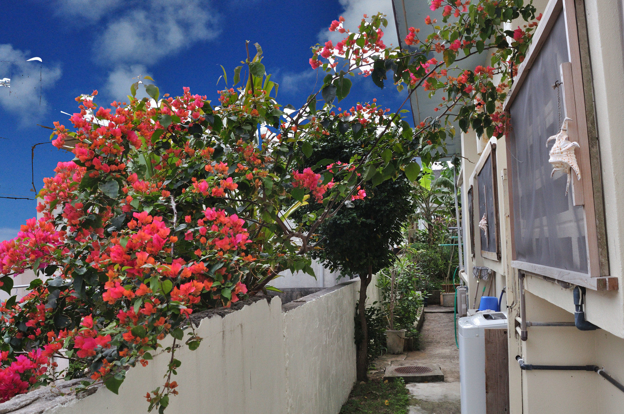 Accommodation Limited To One Group Per Day Yukuiru Miyakojima  Exterior photo